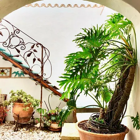 Casa Del Teatro Luxury Casas Vejer Debra
