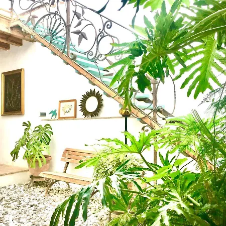 Casa Del Teatro Luxury Casas Vejer Debra Vejer de la Frontera